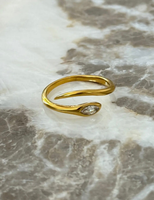 Dolly ring